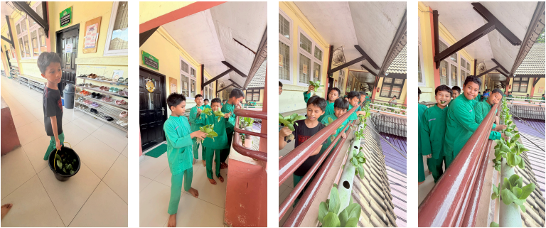 Belajar Menanam melalui Program Hidroponik, Wujudkan Sekolah Peduli Lingkungan